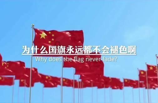 仓鼠学拼音